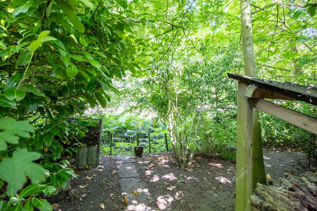 Foto 38 van Rietschans 3