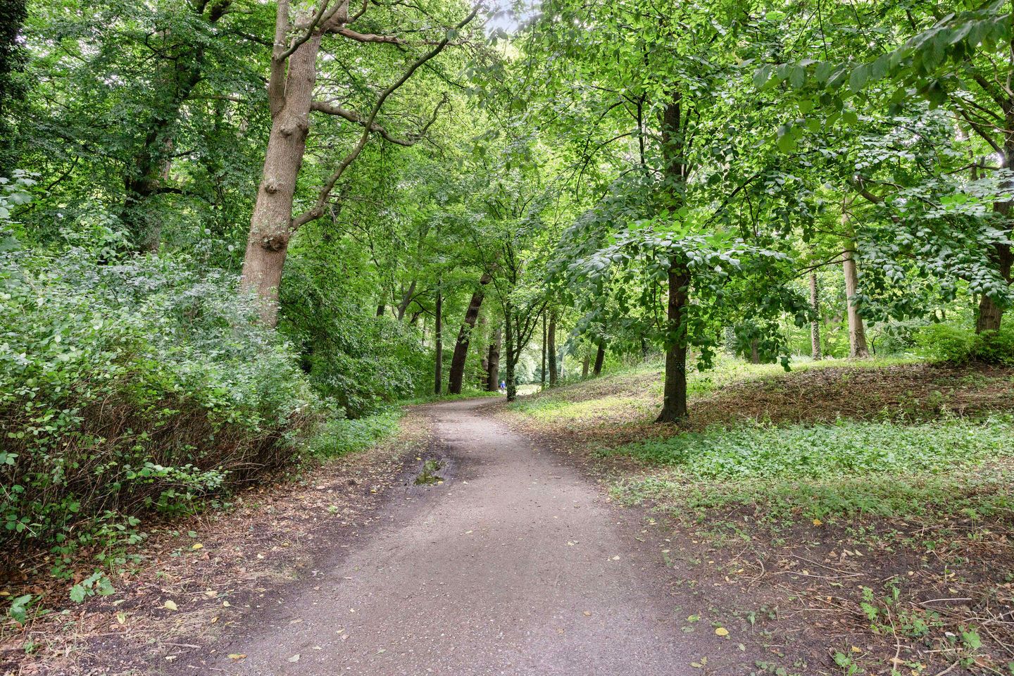 Photo 35 of Hereweg 97-20