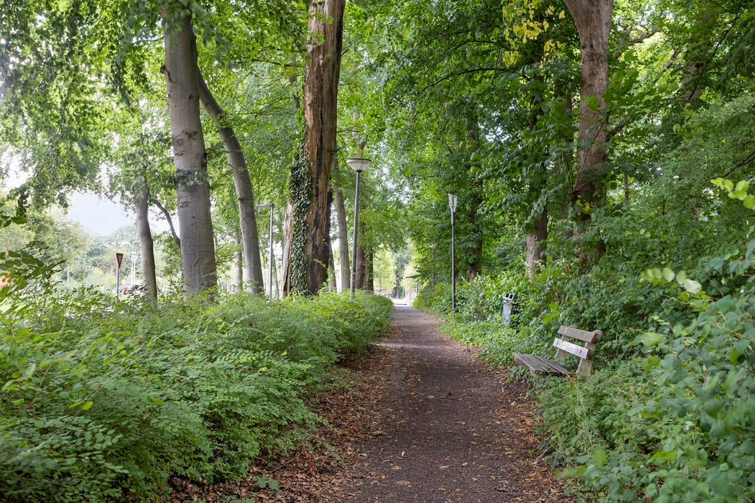 Photo 37 of Hereweg 97-20