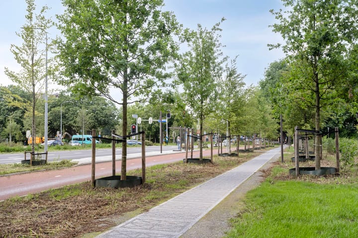 Foto 39 van Hereweg 97-20