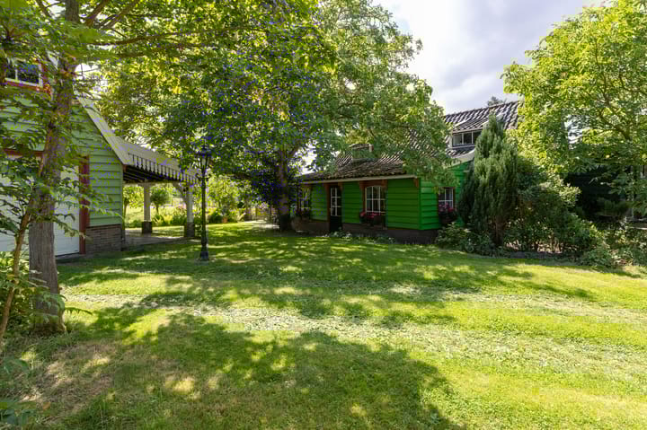 Knokkel 46 main image