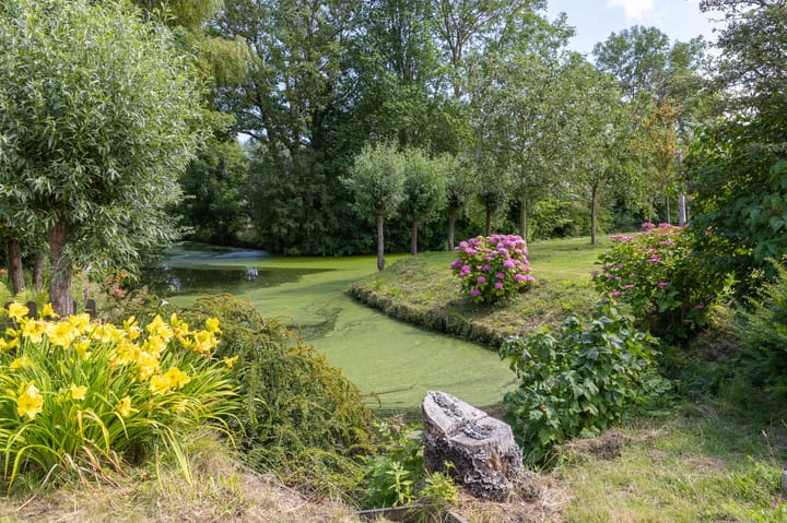 Foto 77 van Knokkel 46