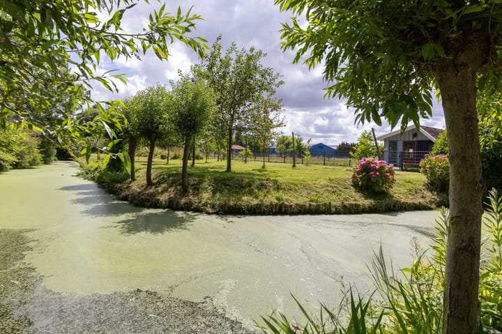 Foto 78 van Knokkel 46