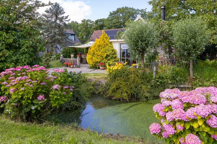 Foto 80 van Knokkel 46