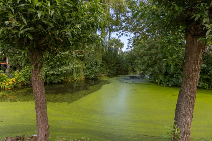 Foto 81 van Knokkel 46