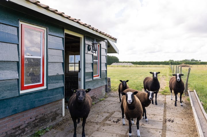 Foto 85 van Knokkel 46