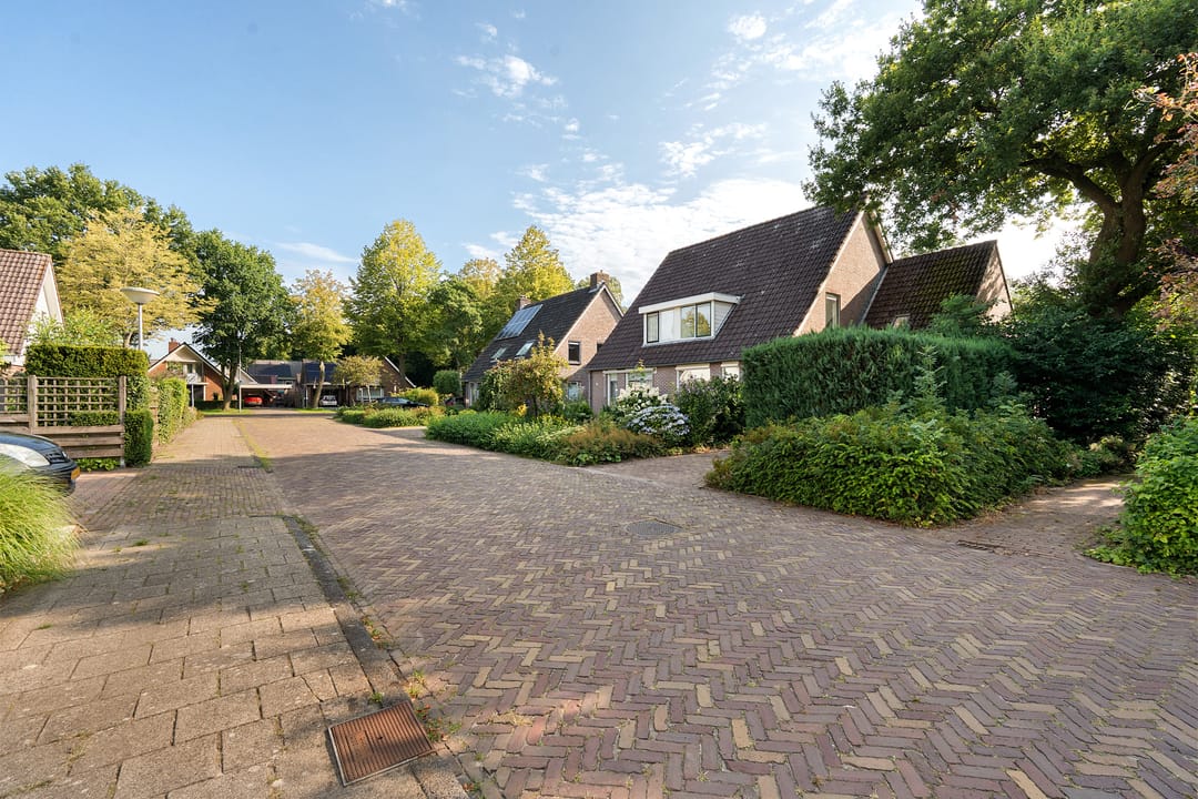 Foto 41 van Dissel 7