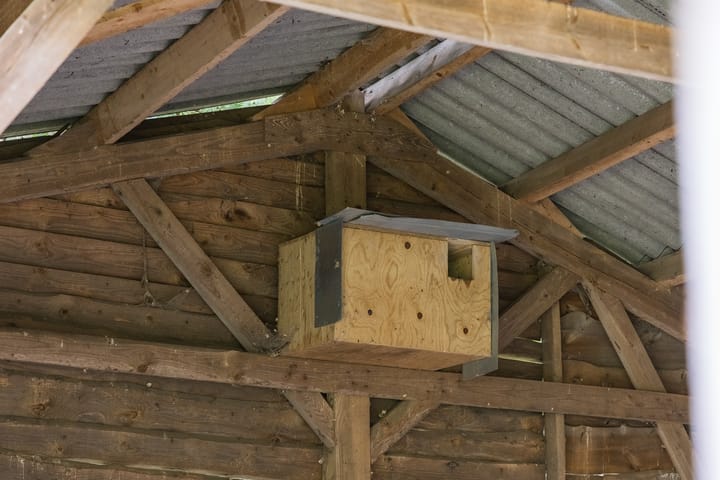 Photo 64 of Rondweg 1