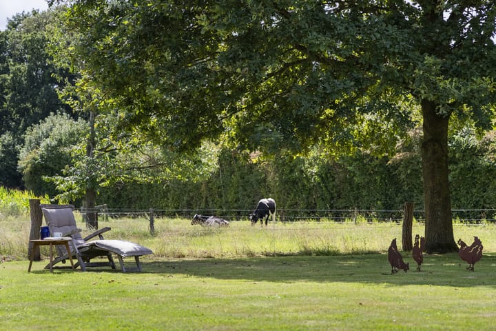 Photo 68 of Rondweg 1