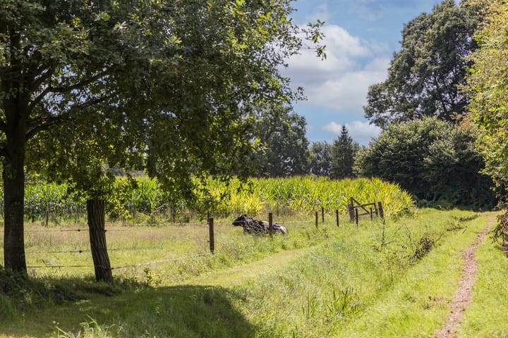 Photo 70 of Rondweg 1