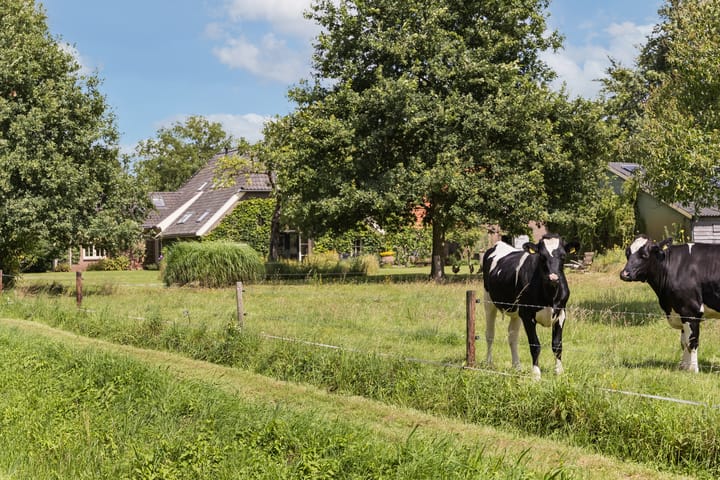 Photo 71 of Rondweg 1