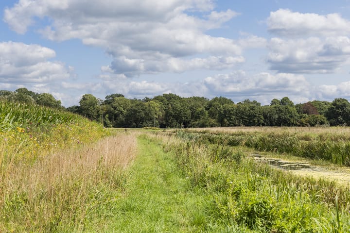 Photo 72 of Rondweg 1