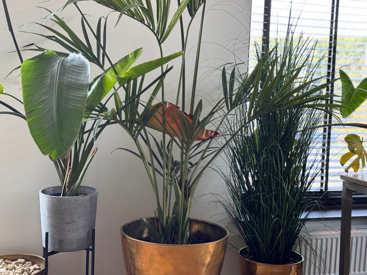 Photo 7 of Rodenburgstraat 69