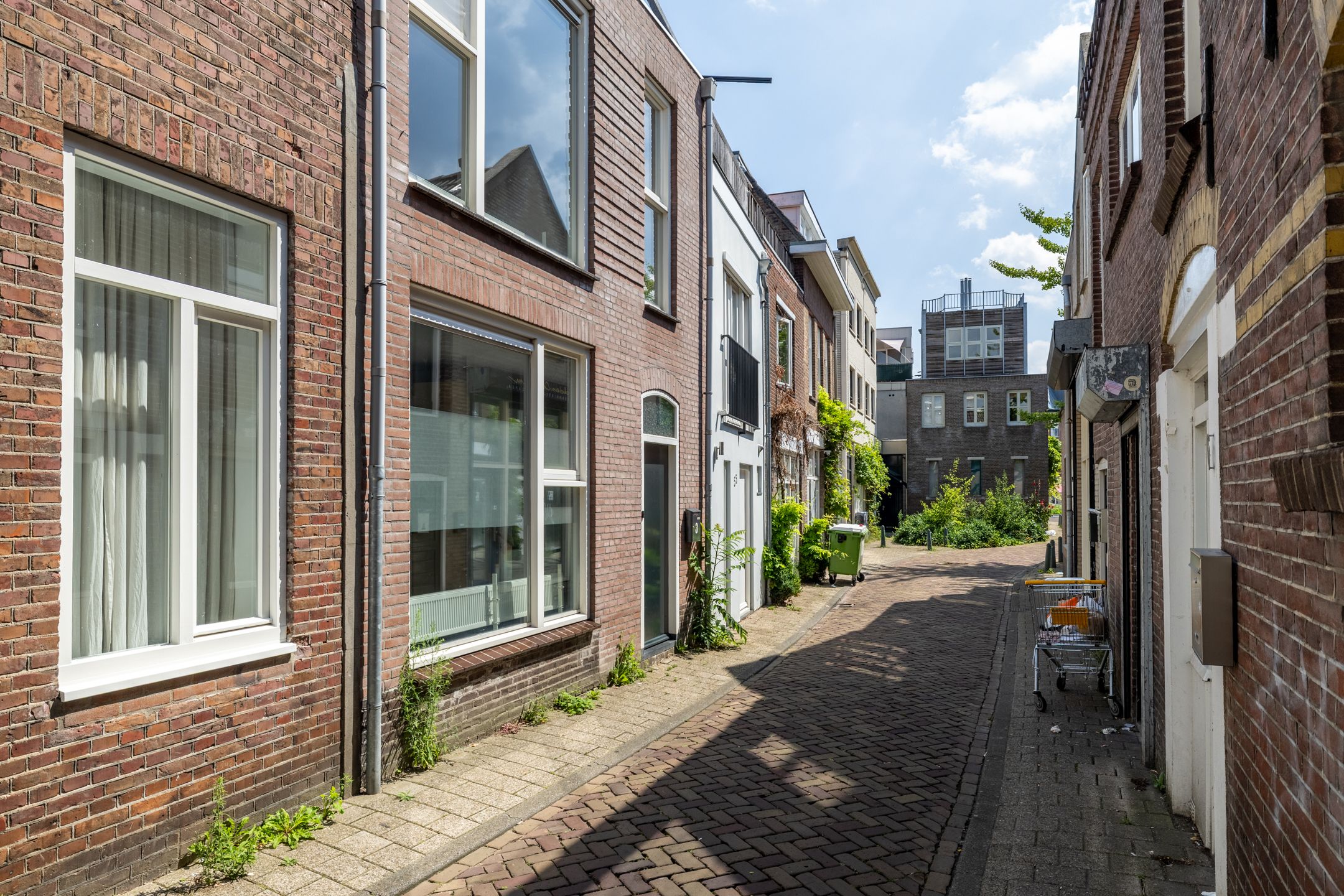 Rozemarijnstraat 3 