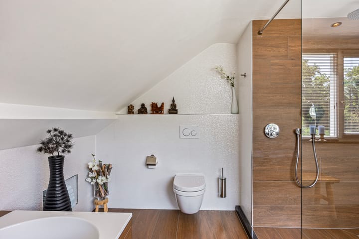 Foto 36 van Millsebaan 71