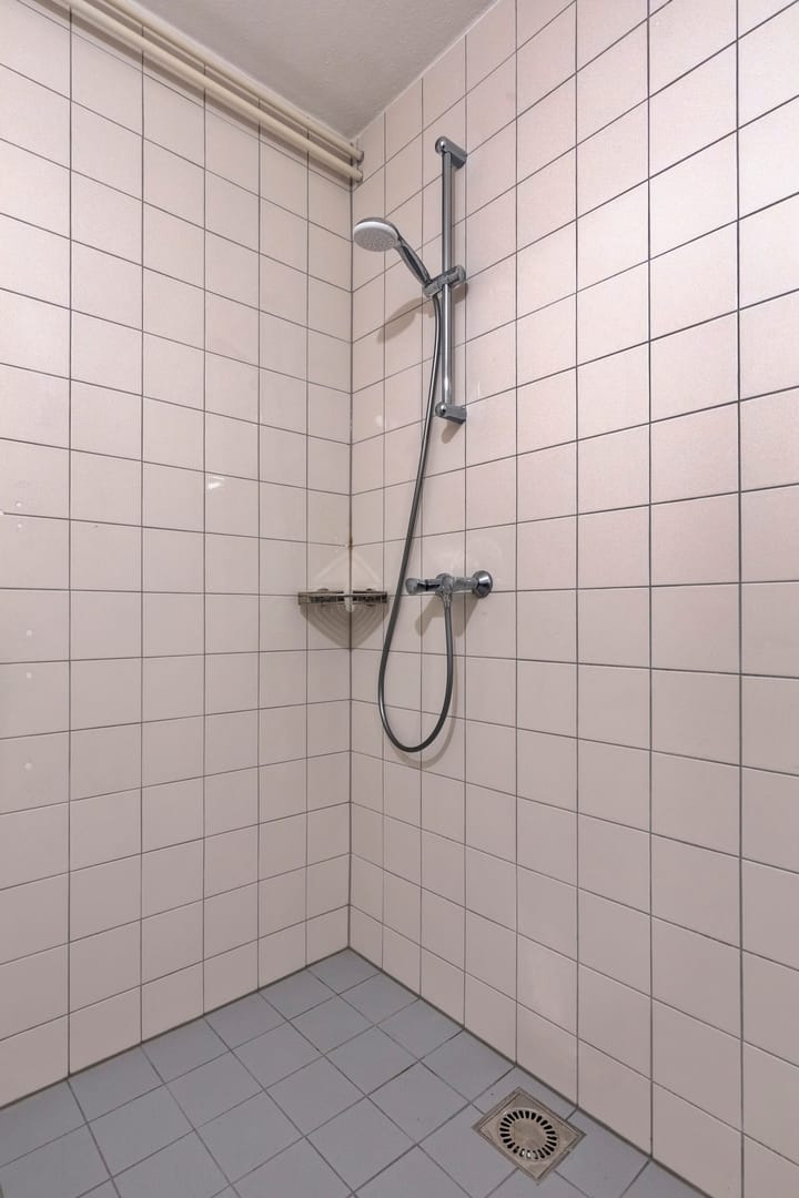 Foto 24 van Engelsholm 48