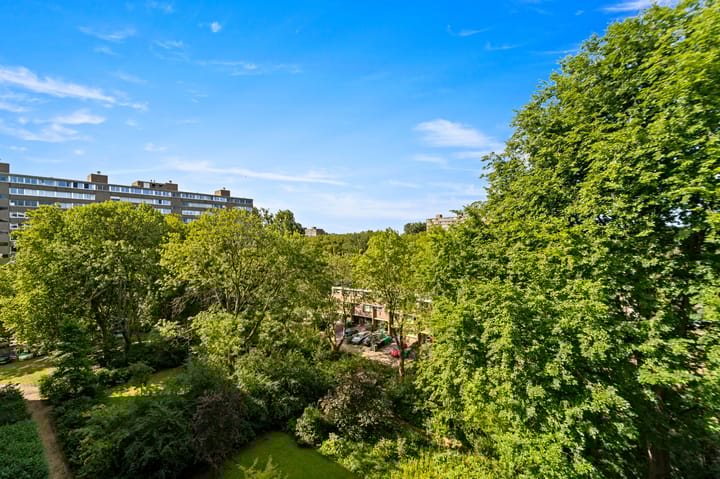 Foto 11 van Roland Holstlaan 816