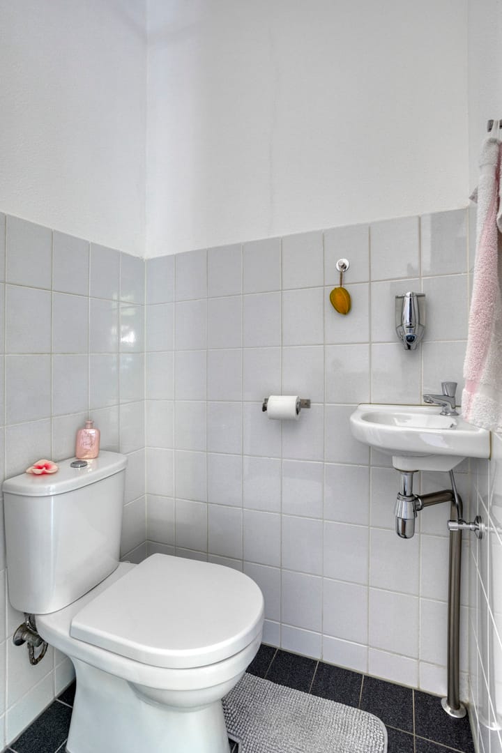 Foto 6 van Raaphorstlaan 46