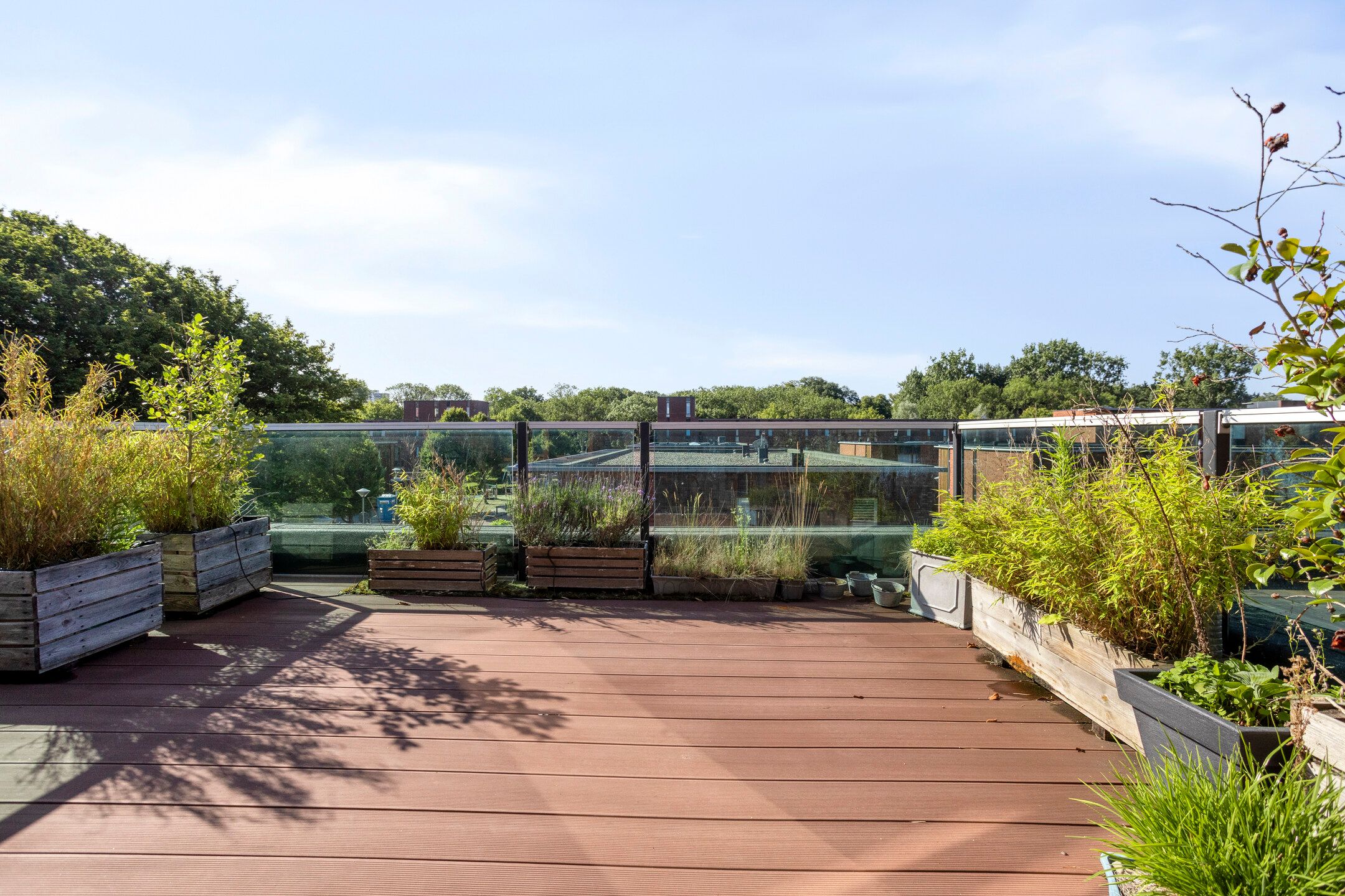 Foto 27 van Raaphorstlaan 46