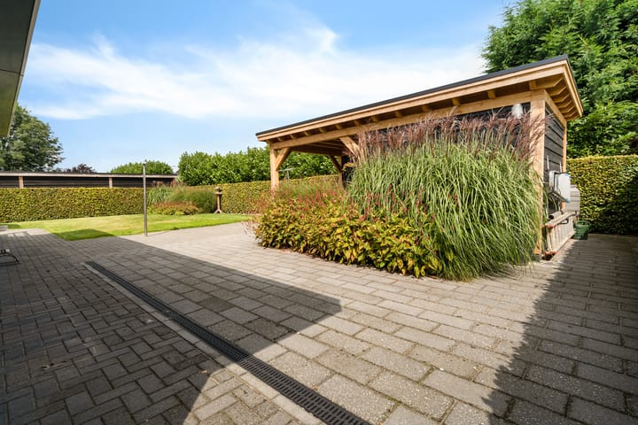 Photo 35 of Vlegel 6