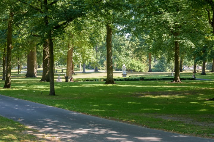 Foto 57 van Vlaszak 11