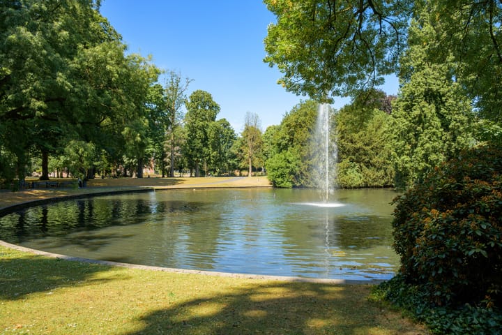 Foto 58 van Vlaszak 11