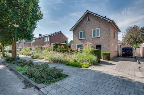 undefined main image