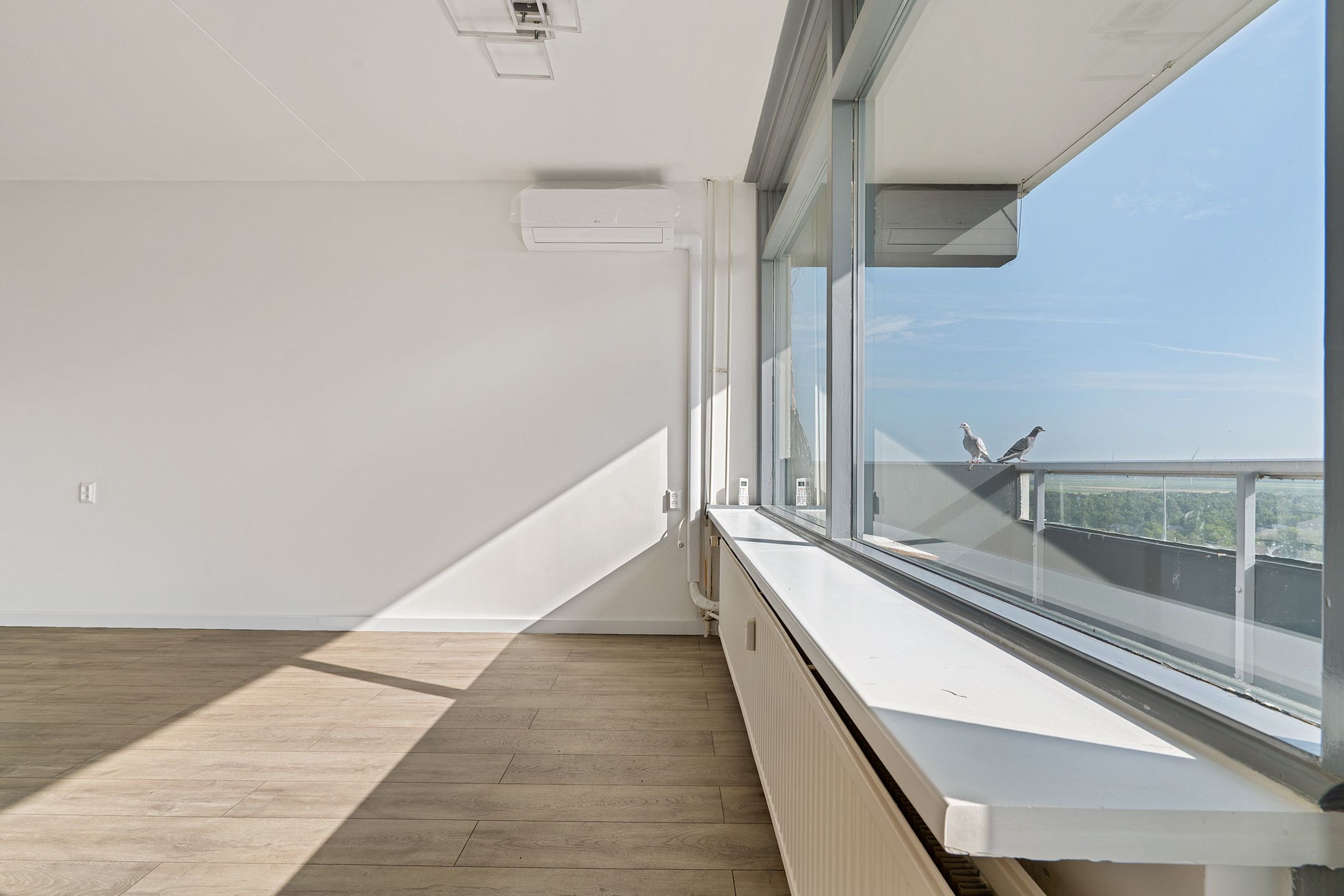 Foto 9 van Houtweg 267