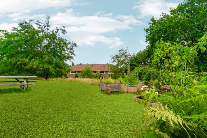 Photo 59 of Braamweg 46