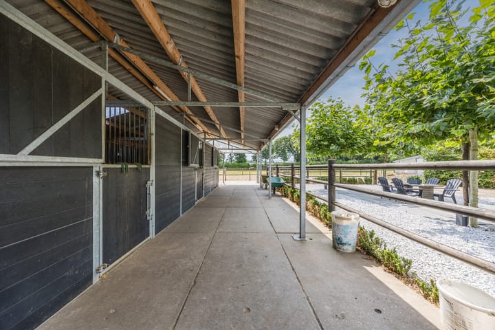 Foto 69 van Hoenderparkdreef 12