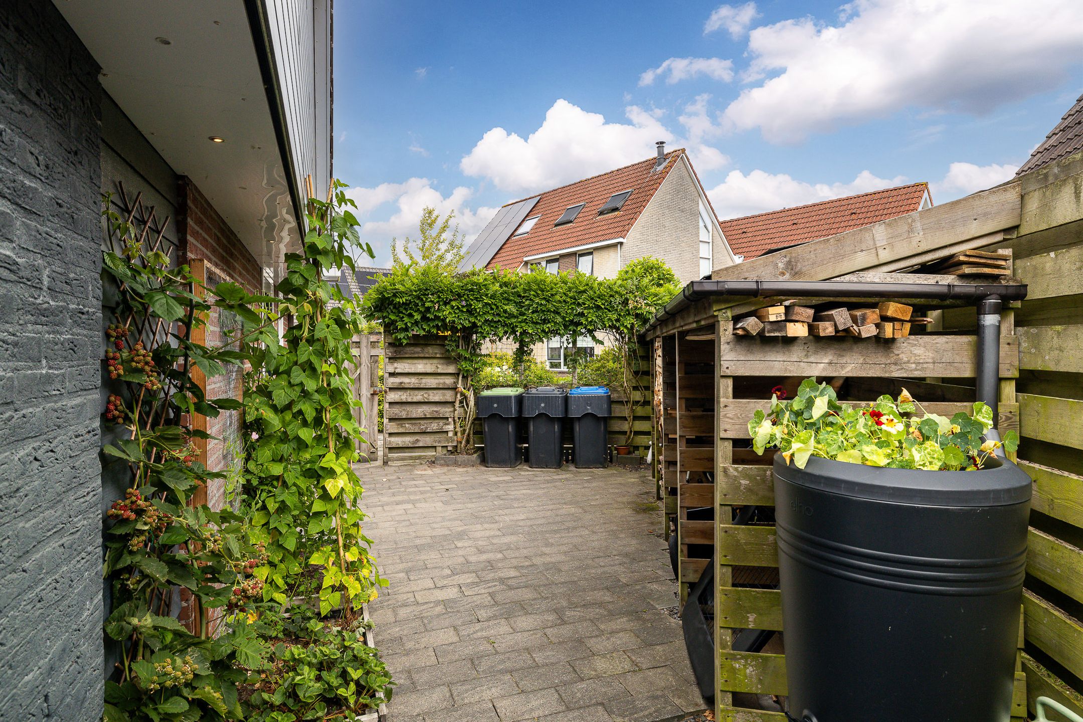 Foto 21 van Bakboard 7