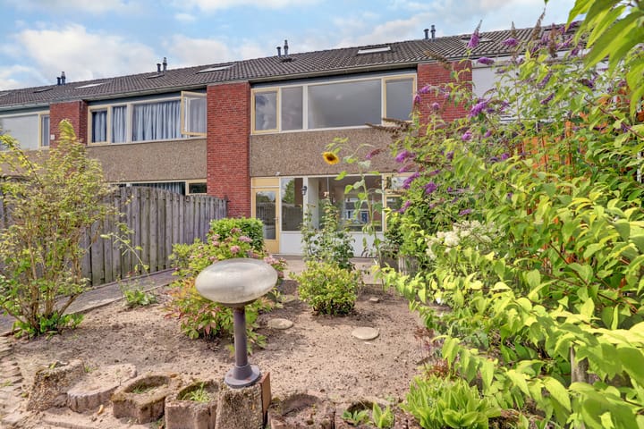 Foto 26 van Heilige Stoel 5351