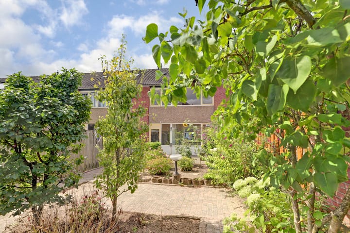 Foto 27 van Heilige Stoel 5351