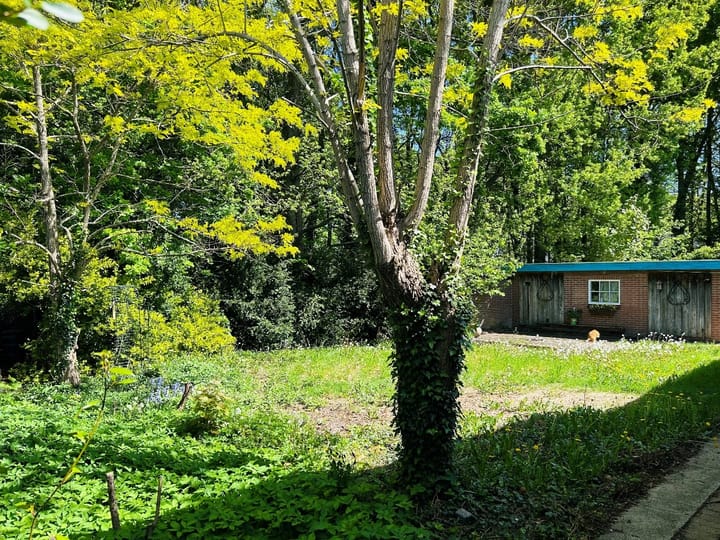 Photo 28 of Europalaan-Noord 26