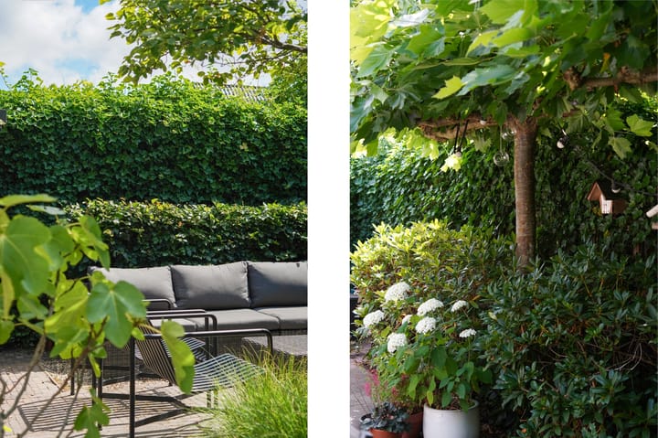 Foto 6 van Spanjaardstraat 1