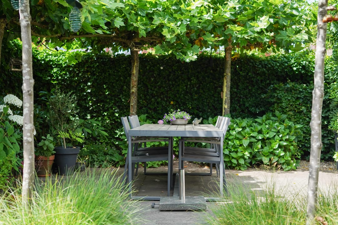 Foto 43 van Spanjaardstraat 1