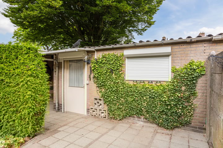 Foto 31 van Laagstraat 394