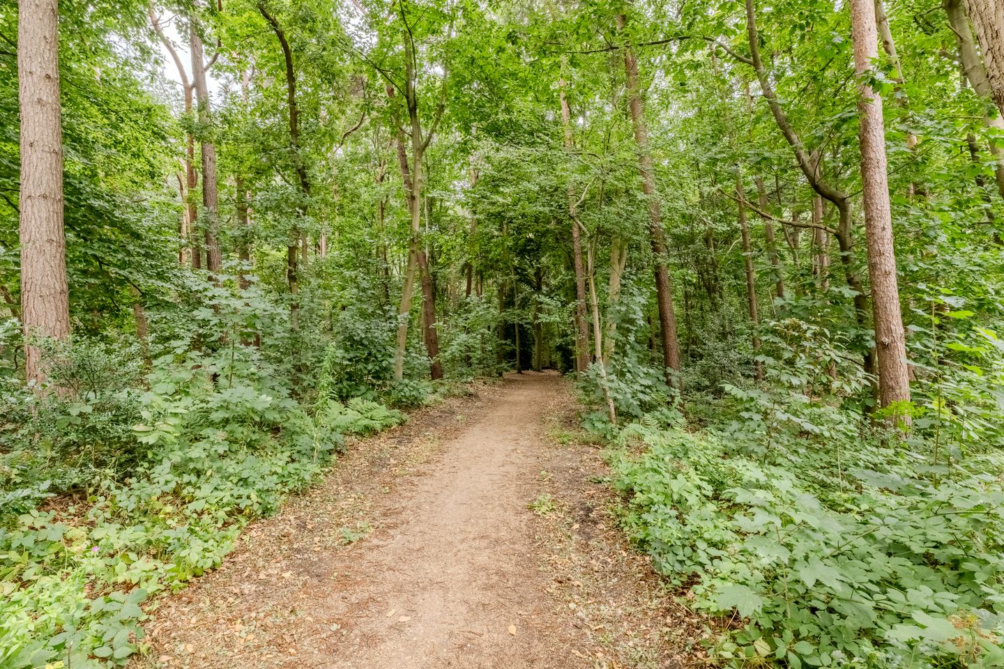 Foto 40 van Sporenring 269