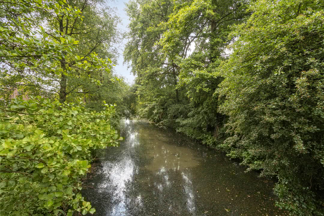 Foto 32 van Kruizemuntstraat 241