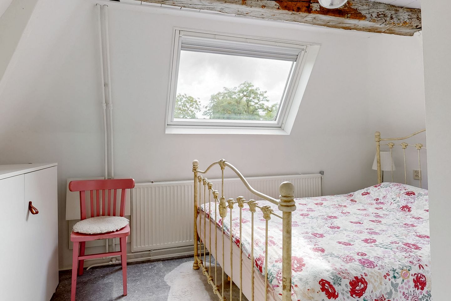 Photo 20 of Ramen 12