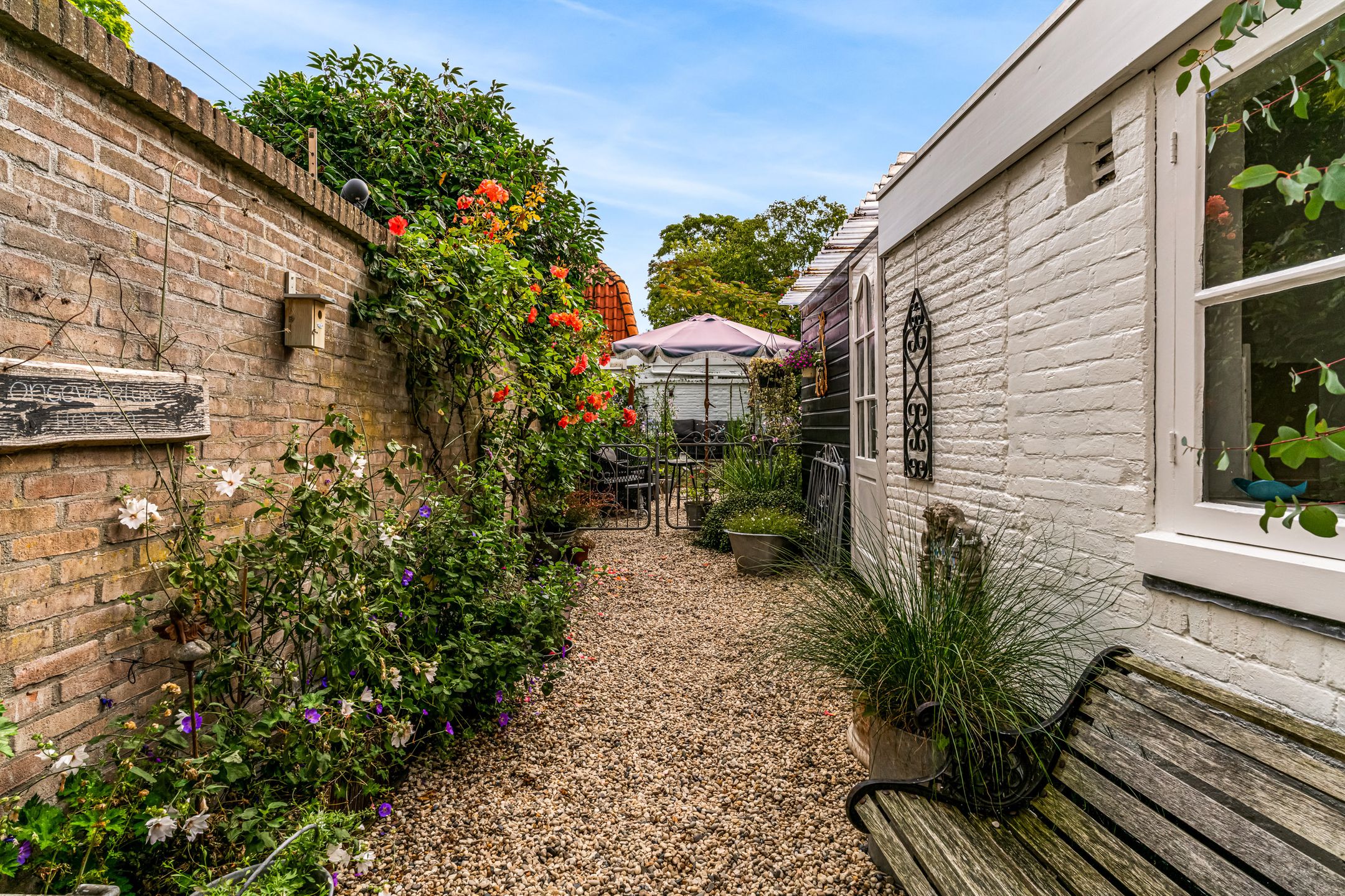 Photo 24 of Ramen 12