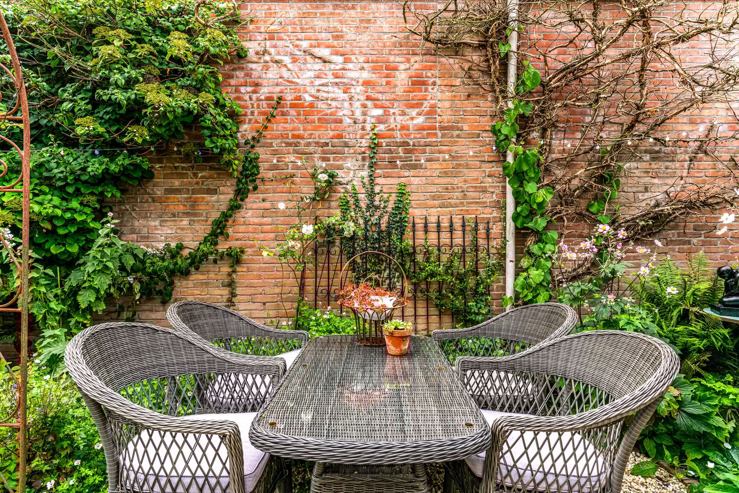 Photo 29 of Ramen 12