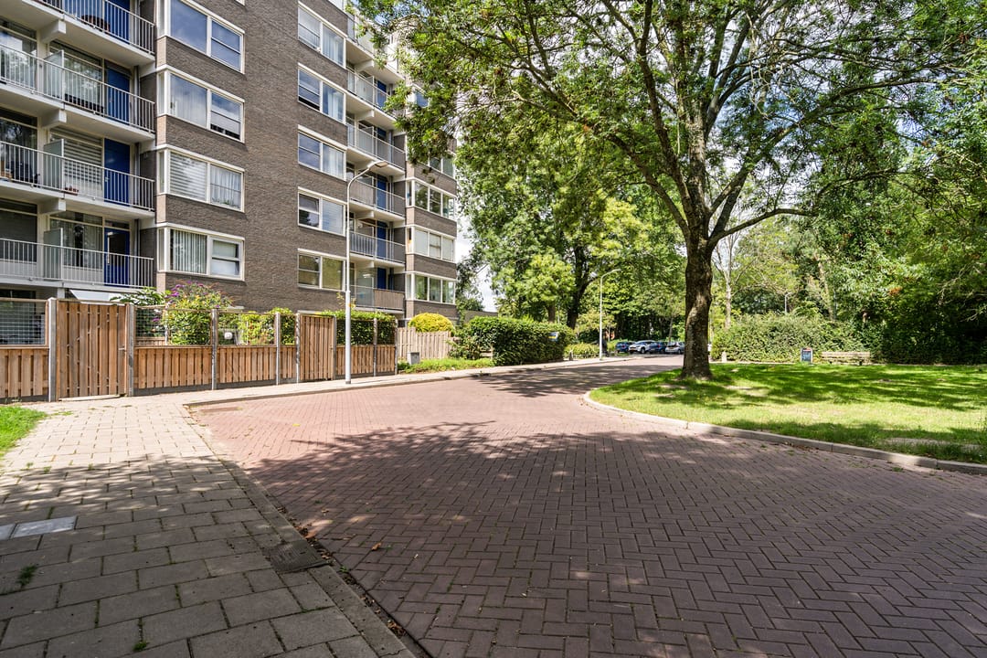 Foto 7 van Graan voor Visch 17237