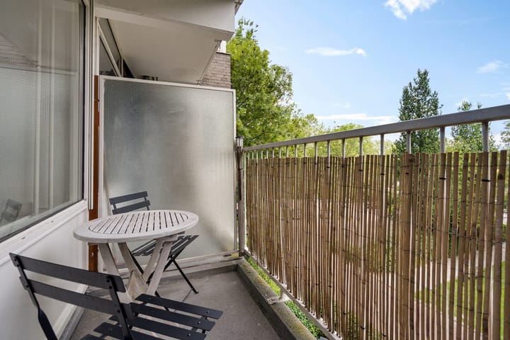 Foto 5 van Graan voor Visch 17237