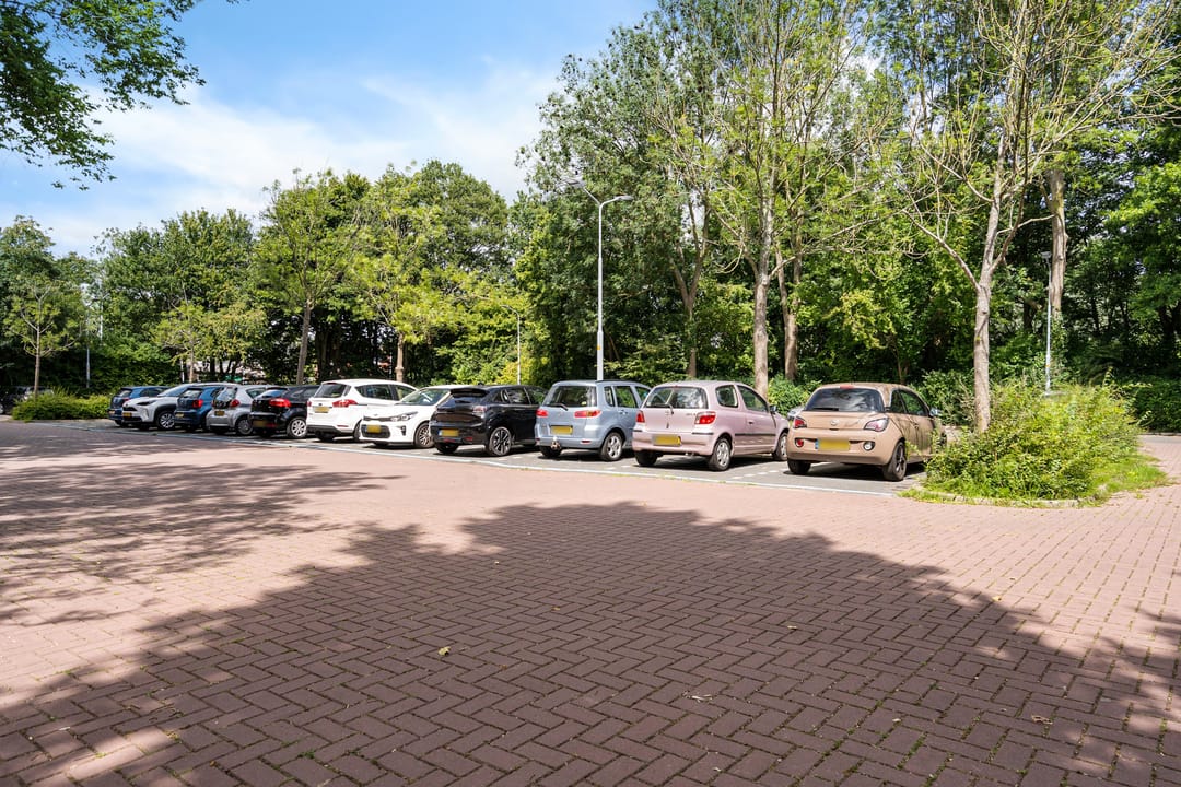 Foto 8 van Graan voor Visch 17237