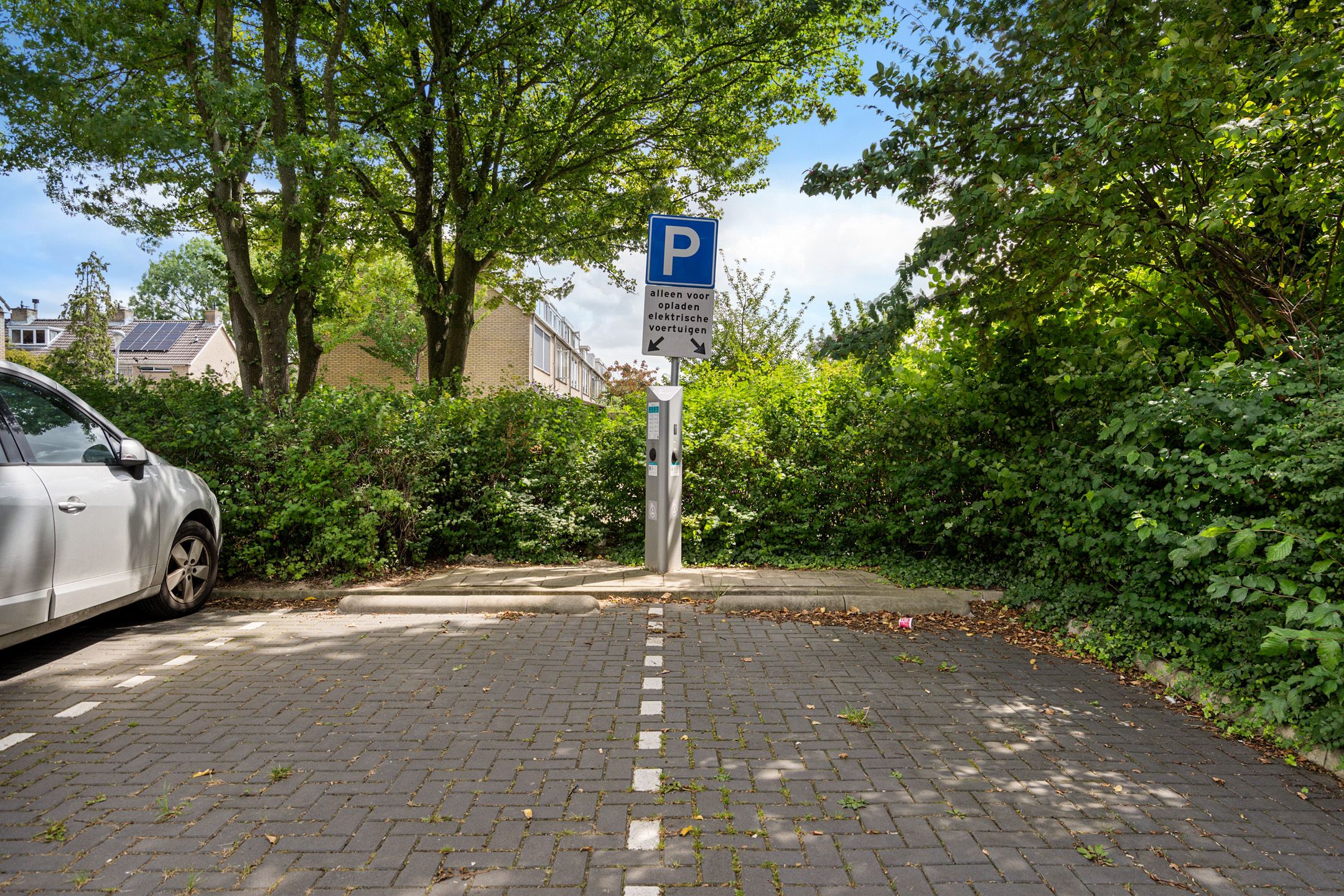 Foto 30 van Graan voor Visch 17237