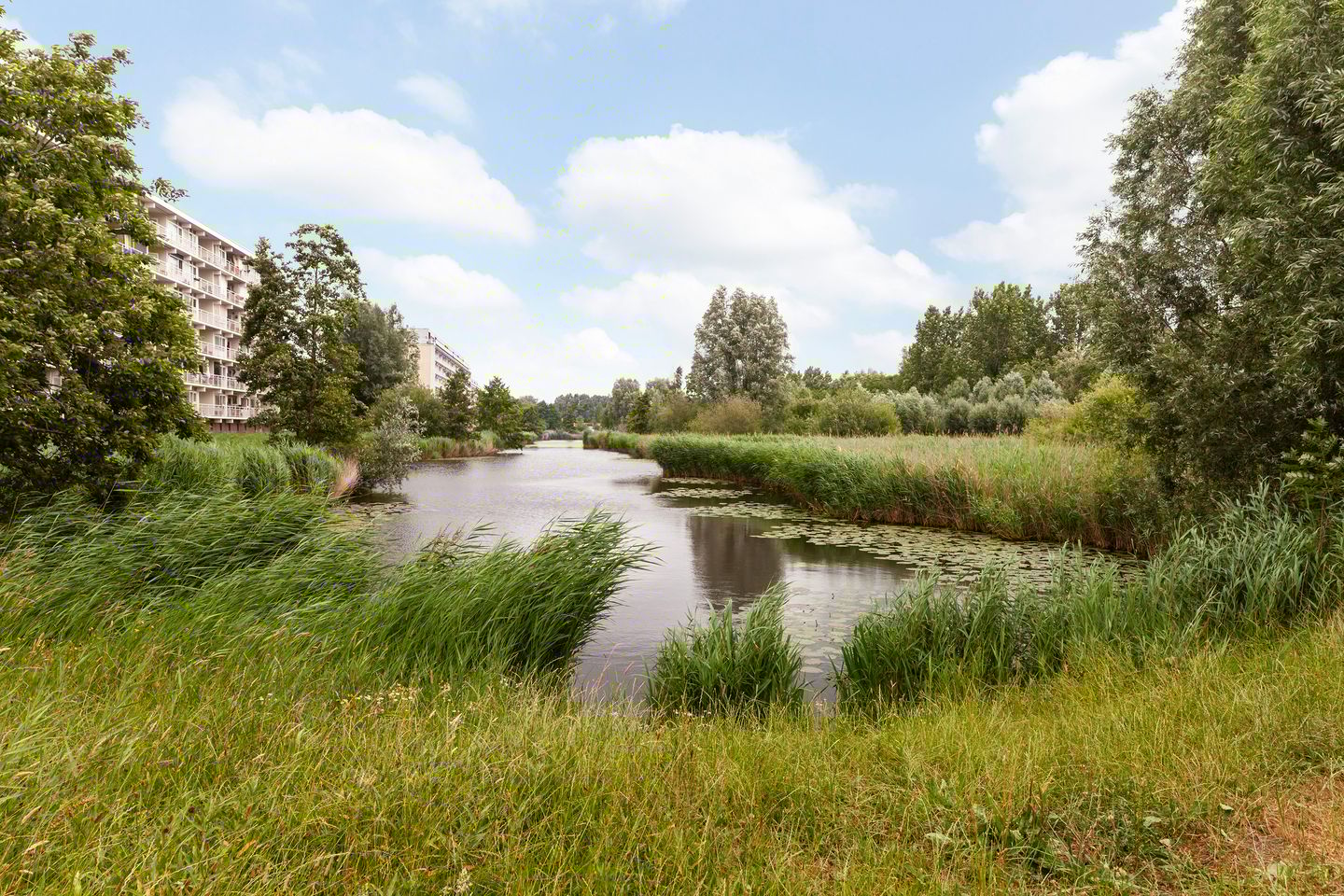 Foto 25 van Leeuwstraat 368