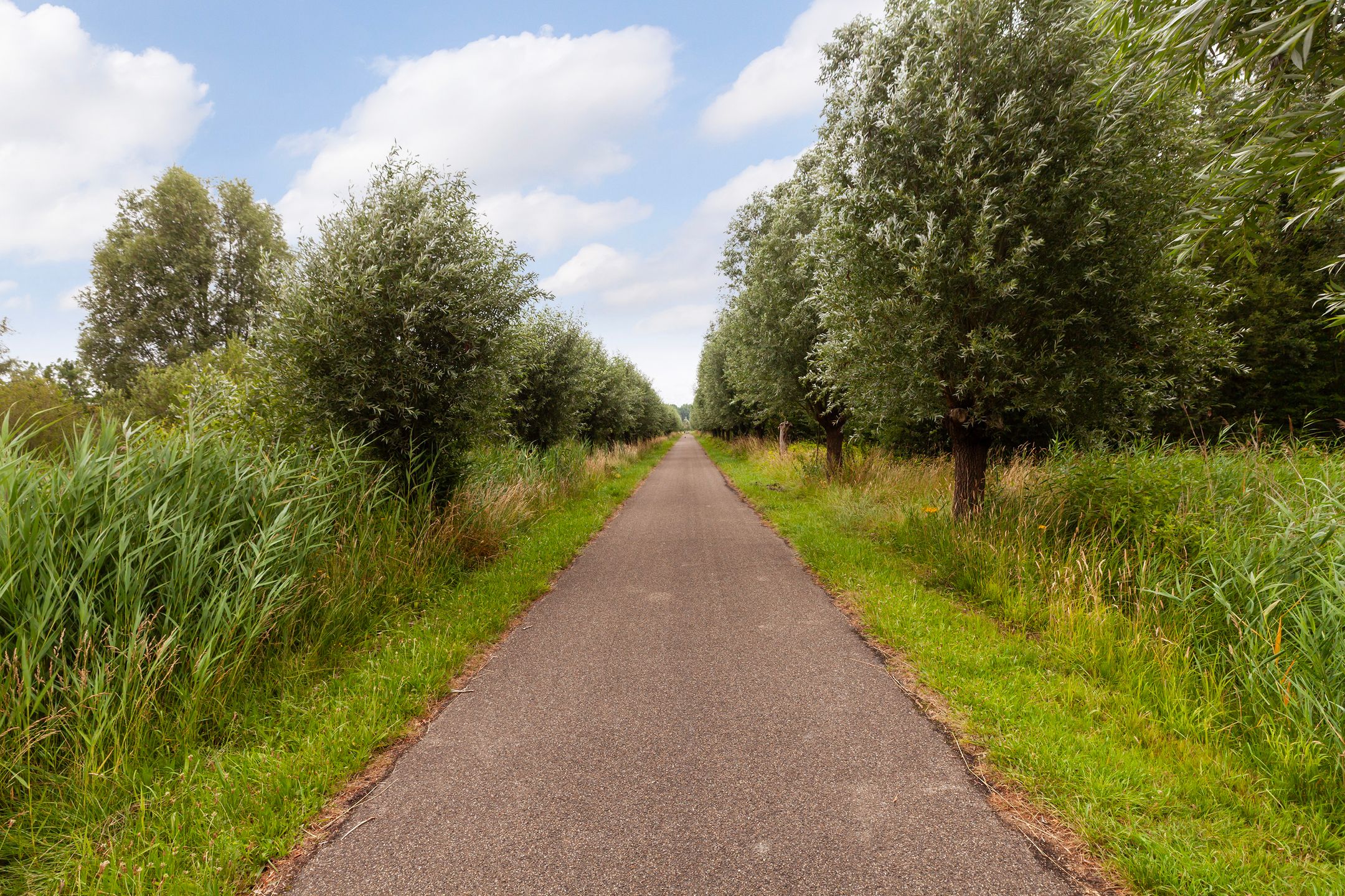 Foto 27 van Leeuwstraat 368