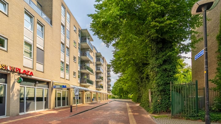 Foto 26 van Hagenborgh 295