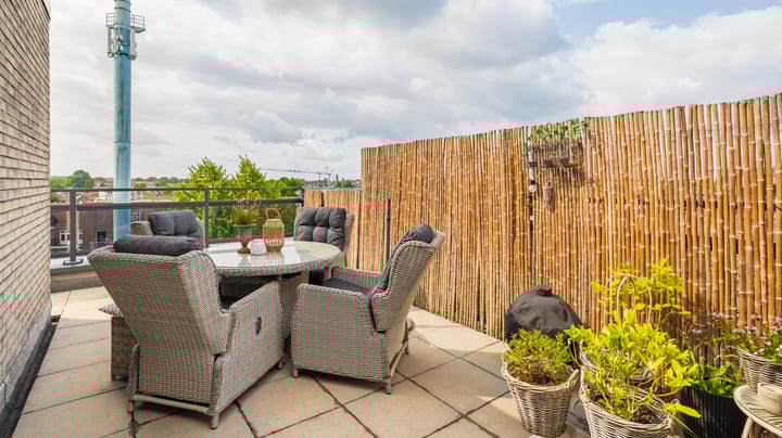 Foto 2 van Hagenborgh 295